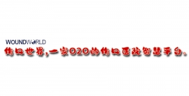 Perception of Losses Experienced by the Diabetic Patient