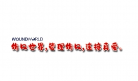 次氯酸在伤口护理中的应用研究进展
