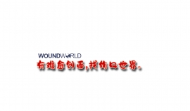 A formal senior review process of data  from a wound management digital system  to identify wounds that may be on a  deteriorating trajectory: a review